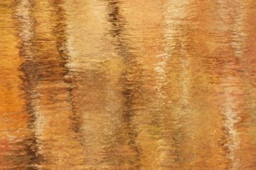 Brown;Alabama;Fall;Mirror;Little River Canyon National Preserve;Textures;Tan;water;Orange;reflection;Abstraction;Abstract;Reflection;lake;Gold;Abstracts;Creek;Stream;Water;Patterns;Yellow;Reflections;river;Autumn